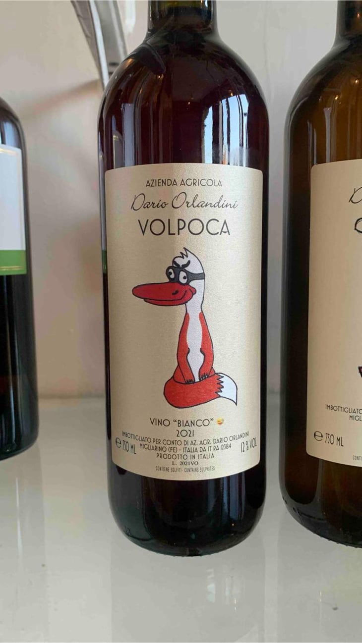 Volpoca - Azienda Agricola Dario Orlandini - Dario Orlandini 
