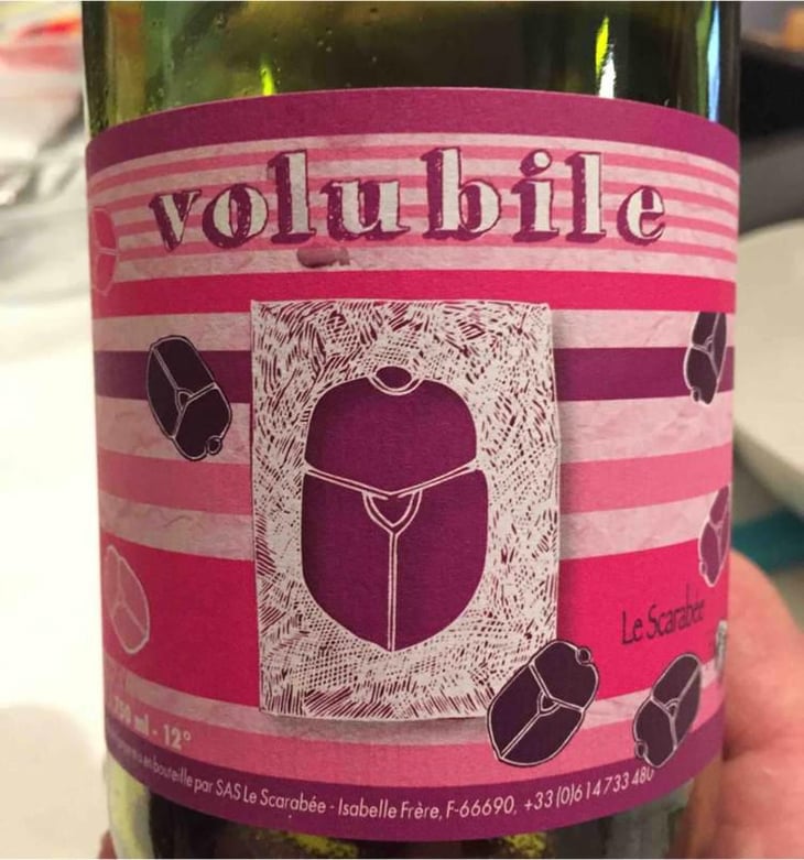 Volubile - Le Scarabée - Isabelle Frère 