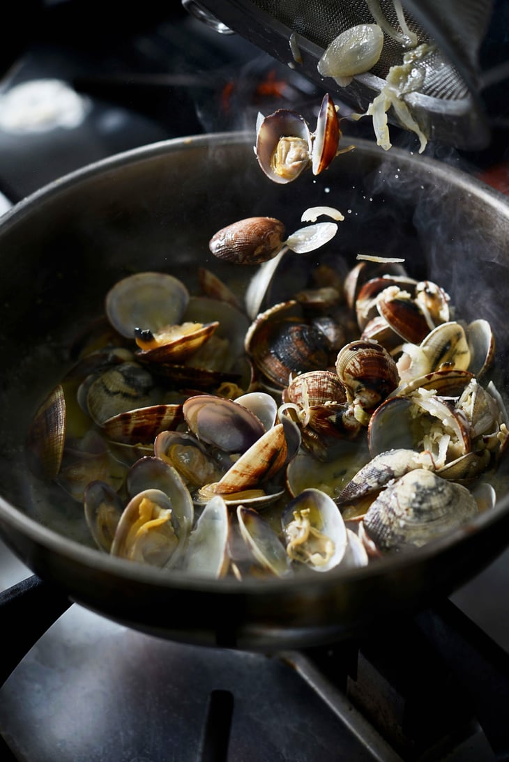 Vongolé - Bleu Nuit - 652392