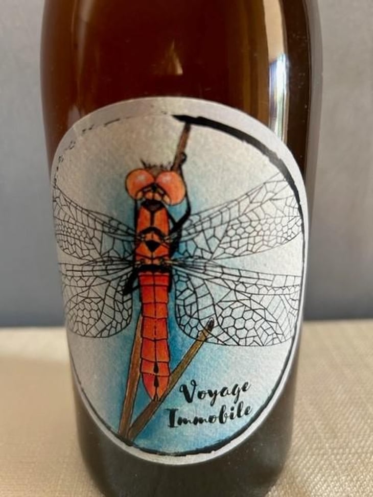 Voyage Immobile - Oxymore - Guilhem Henriot & Rémi Thomas -2024