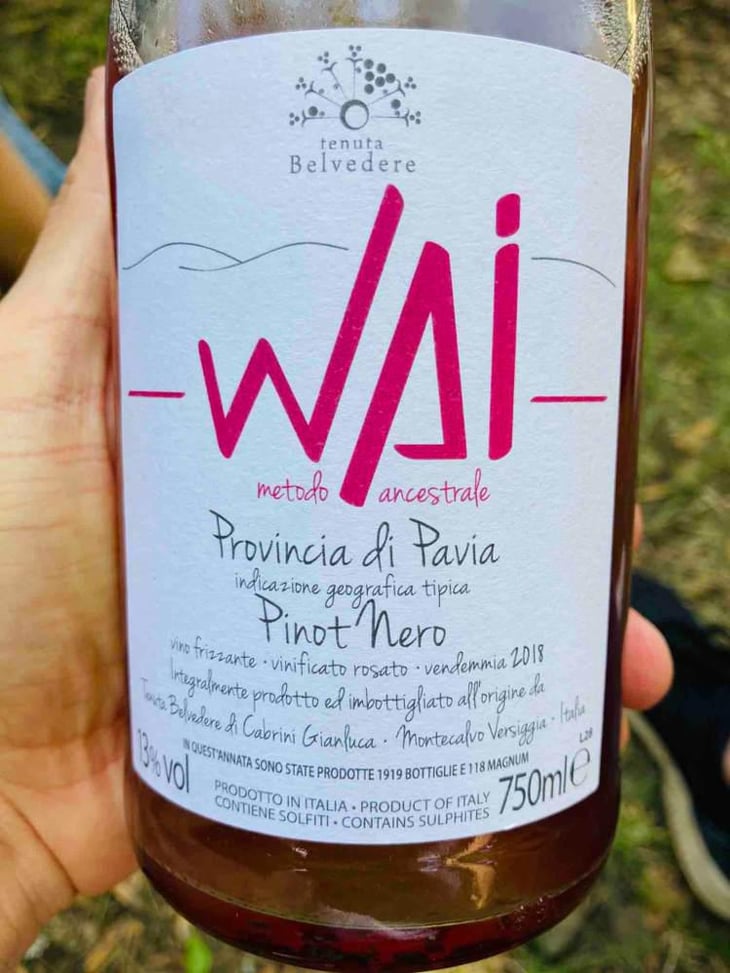 Wai Pinot Nero - Tenuta Belvedere - Gianluca Cabrini 