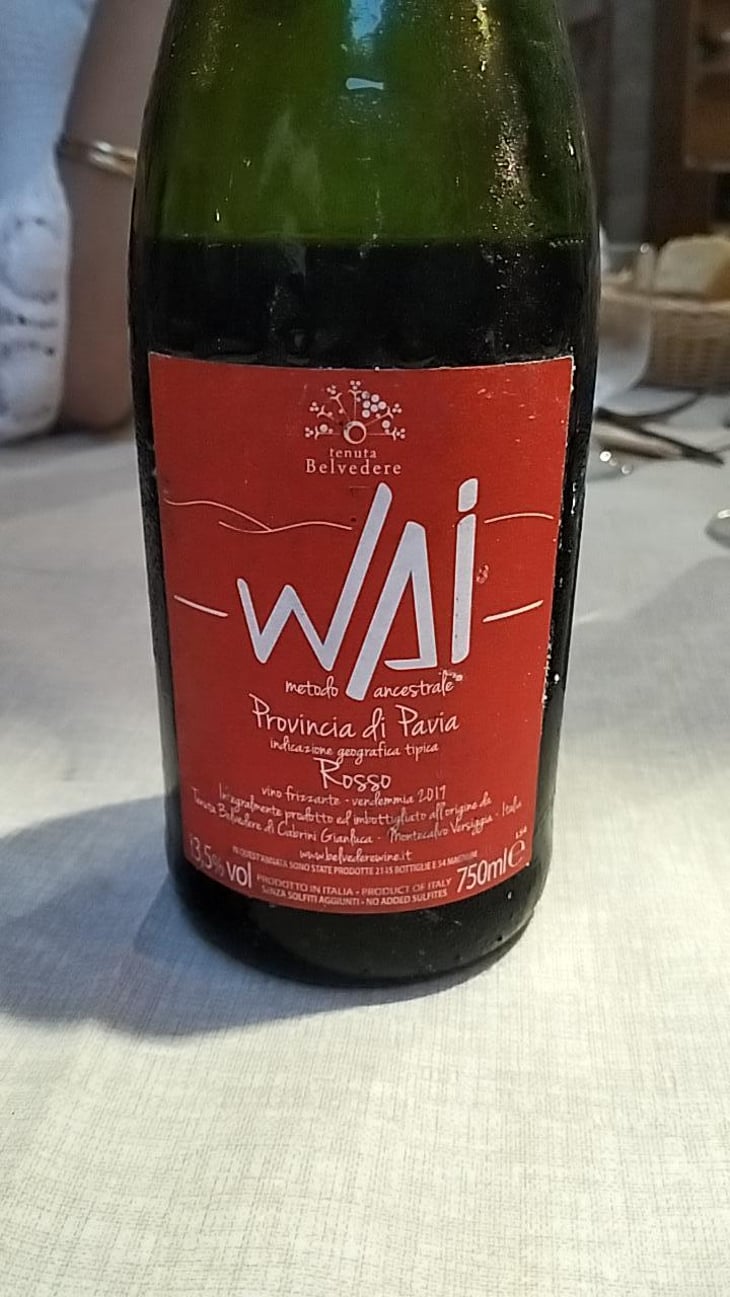 Wai - Rosso Frizzante - Tenuta Belvedere - Gianluca Cabrini 