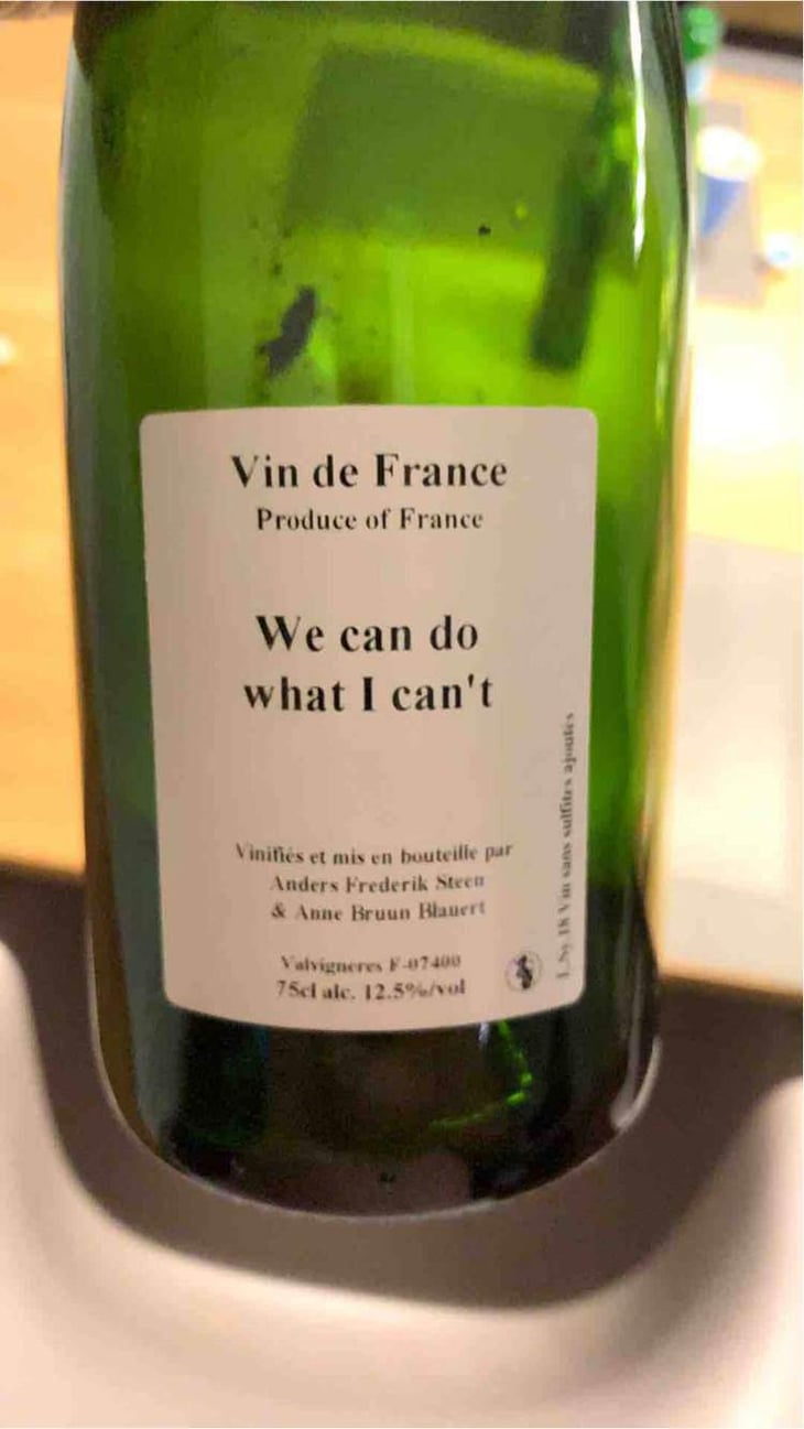 We can do what I can't - Anders Frederik Steen & Anne Bruun Blauert - Anders Frederik Steen & Anne Bruun Blauert 