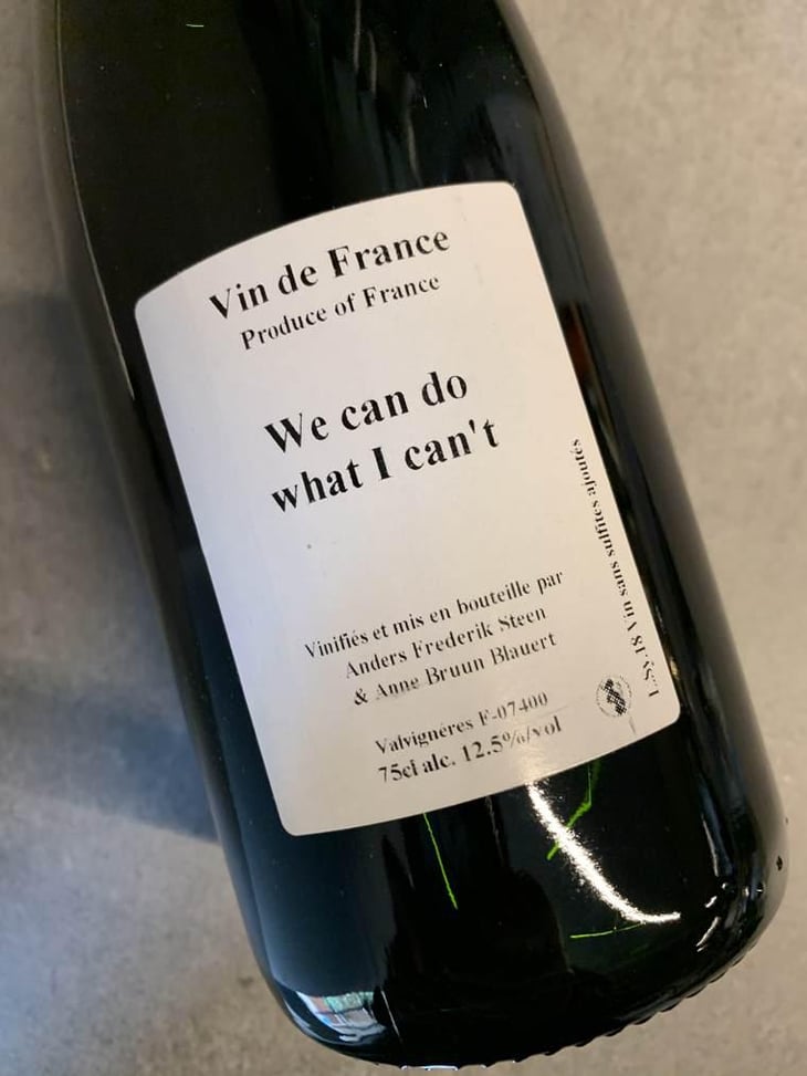 We can do what I can't - Anders Frederik Steen & Anne Bruun Blauert - Anders Frederik Steen & Anne Bruun Blauert 