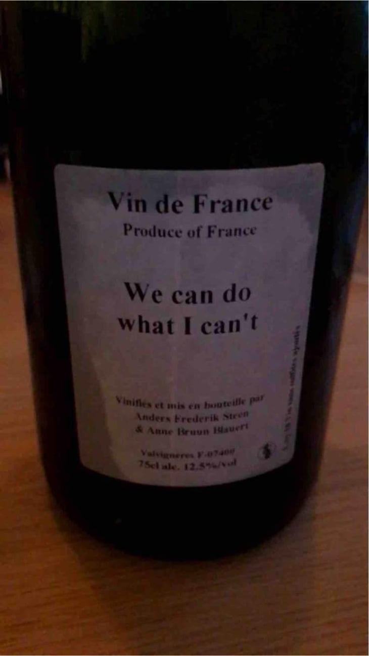 We can do what I can't - Anders Frederik Steen & Anne Bruun Blauert - Anders Frederik Steen & Anne Bruun Blauert 