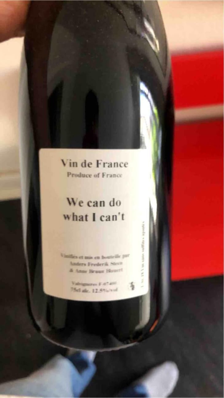 We can do what I can't - Anders Frederik Steen & Anne Bruun Blauert - Anders Frederik Steen & Anne Bruun Blauert 