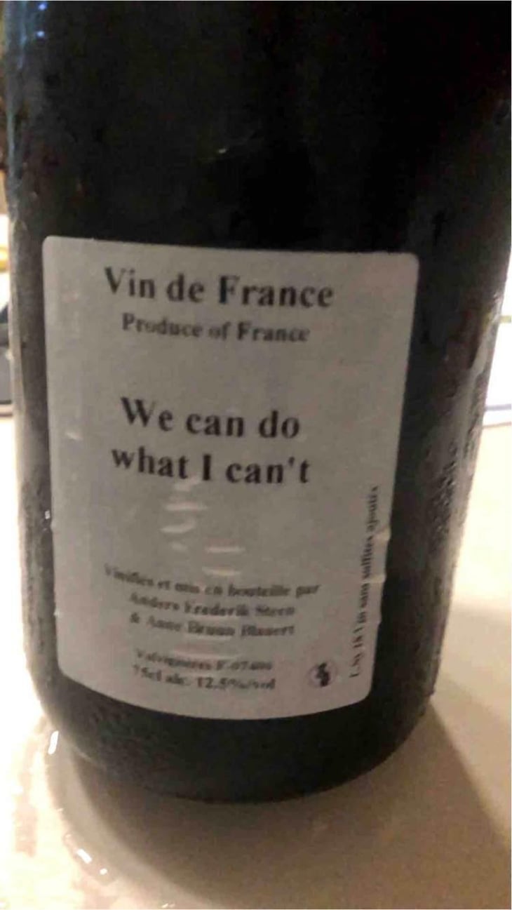 We can do what I can't - Anders Frederik Steen & Anne Bruun Blauert - Anders Frederik Steen & Anne Bruun Blauert 