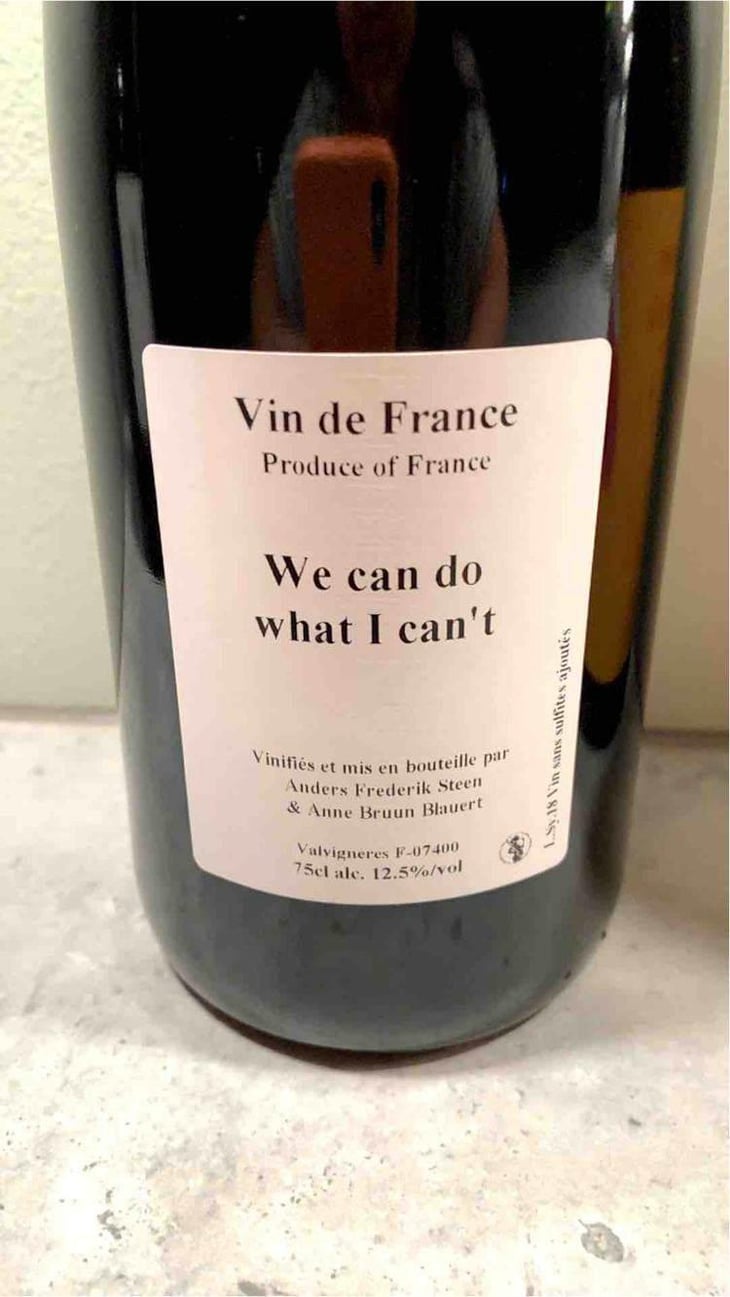 We can do what I can't - Anders Frederik Steen & Anne Bruun Blauert - Anders Frederik Steen & Anne Bruun Blauert 