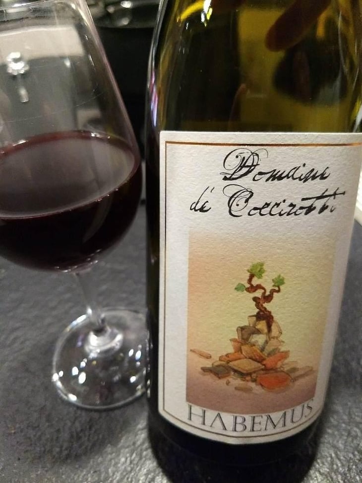 Domaine di Coccirotti Habemus - La Ginestra - Dario Nocci, Alessandro Bicchi & Matteo Rinaldi 