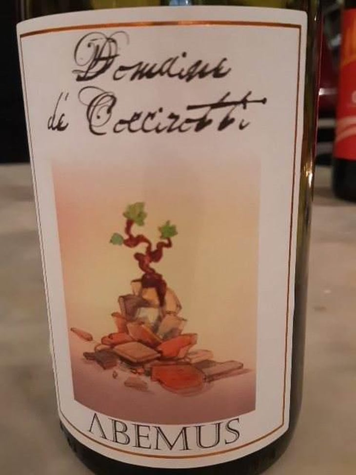 Domaine di Coccirotti Habemus - La Ginestra - Dario Nocci, Alessandro Bicchi & Matteo Rinaldi 
