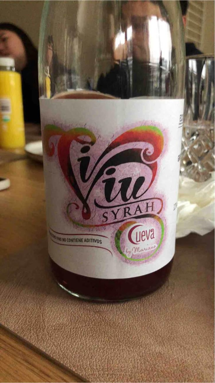 Vi Viu Syrah - Bodegas Cueva - Mariano Taberner 