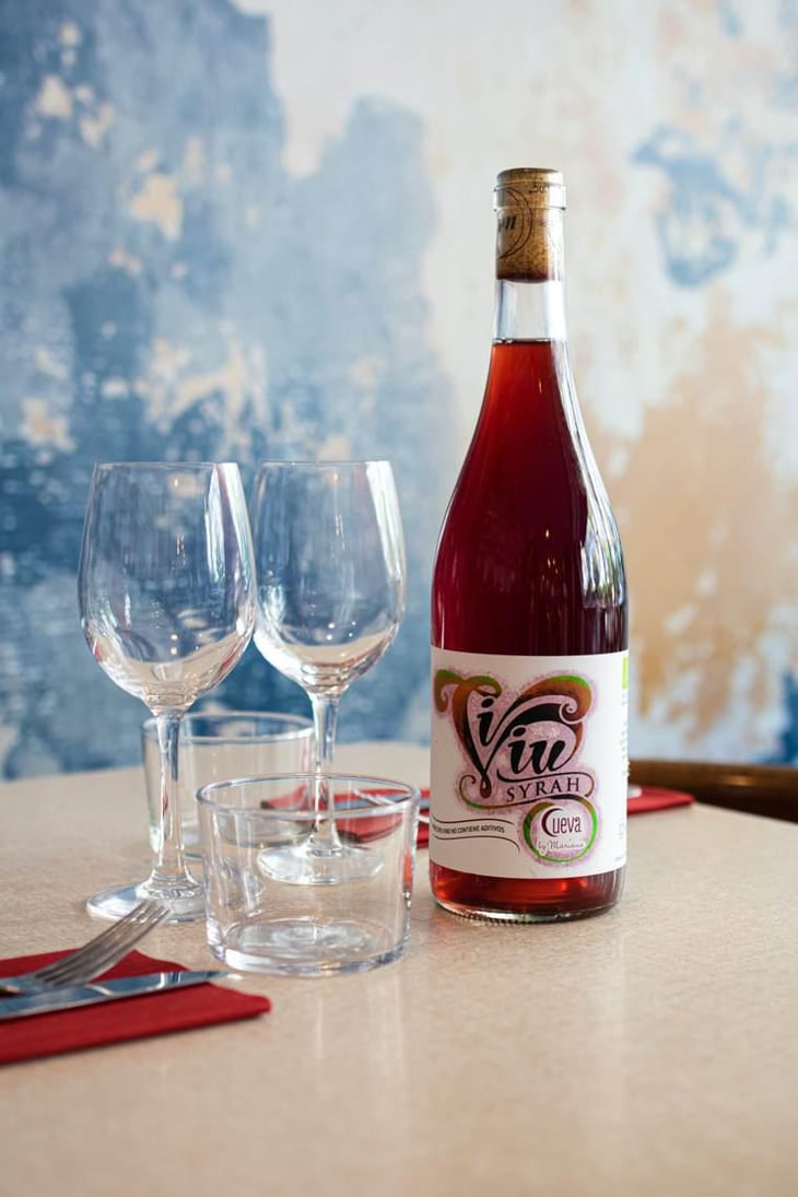 Vi Viu Syrah - Bodegas Cueva - Mariano Taberner 