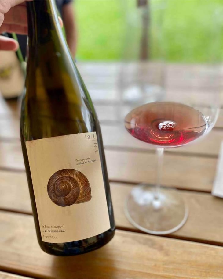 Weinbergschnecke - Pinot Noir Rosé - Weingut Andreas & Elisabeth Tscheppe - Andreas & Elisabeth Tscheppe 