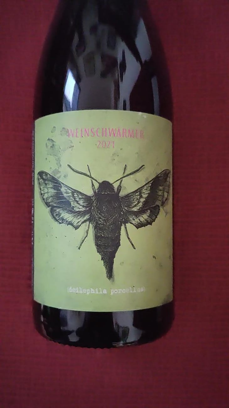 Weinschwärmer - 2 Naturkinder - Melanie Drese & Michael Völker -2019