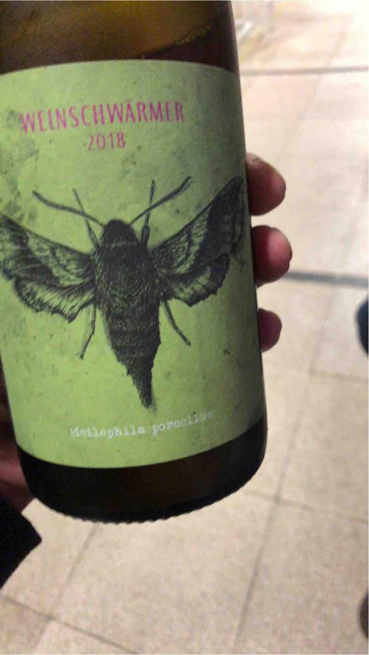 Weinschwärmer - 2 Naturkinder - Melanie Drese & Michael Völker -2019