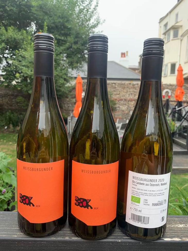 Weissburgunder - Weingut Beck - Judith Beck 