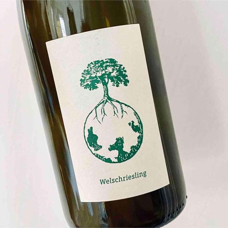 Welschriesling - Weingut Werlitsch - Ewald & Brigitte Tscheppe 