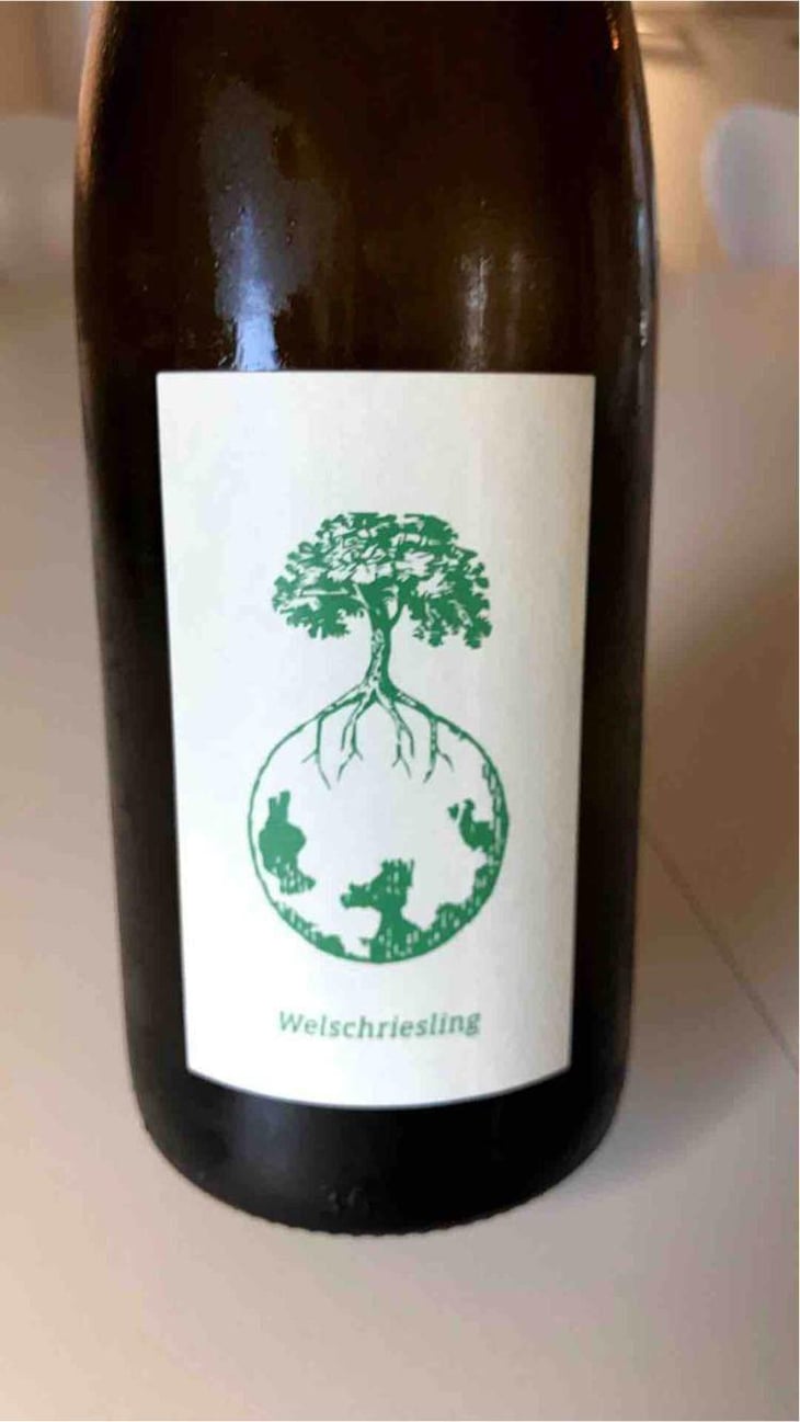Welschriesling - Weingut Werlitsch - Ewald & Brigitte Tscheppe 