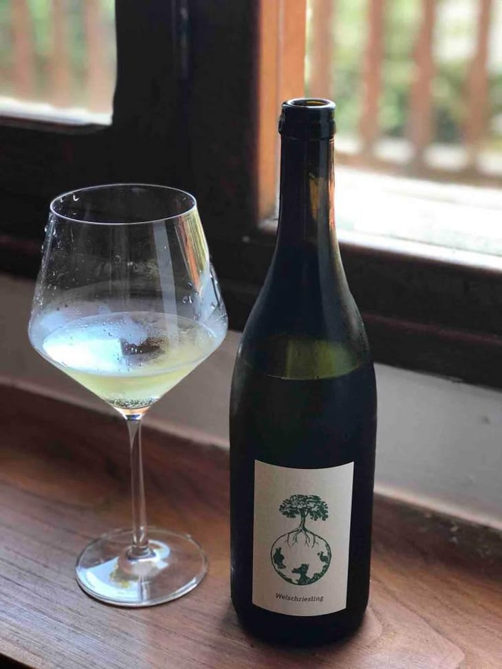 Welschriesling - Weingut Werlitsch - Ewald & Brigitte Tscheppe 