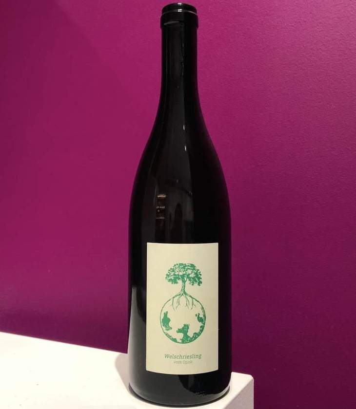 Welschriesling - Weingut Werlitsch - Ewald & Brigitte Tscheppe 