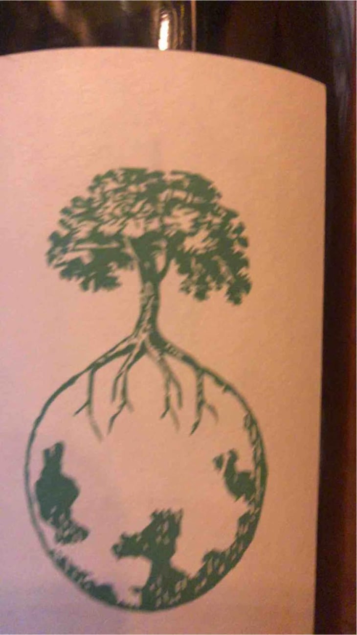 Welschriesling - Weingut Werlitsch - Ewald & Brigitte Tscheppe 