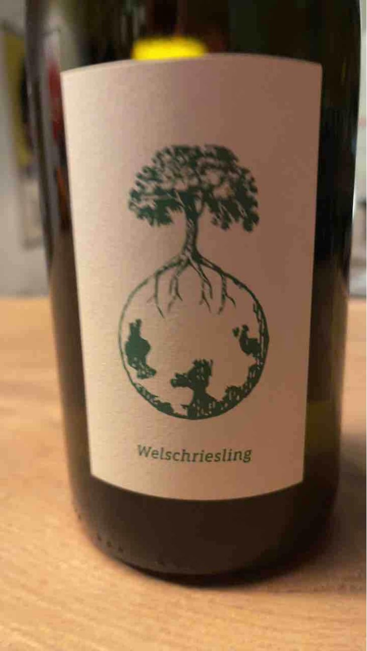 Welschriesling - Weingut Werlitsch - Ewald & Brigitte Tscheppe 