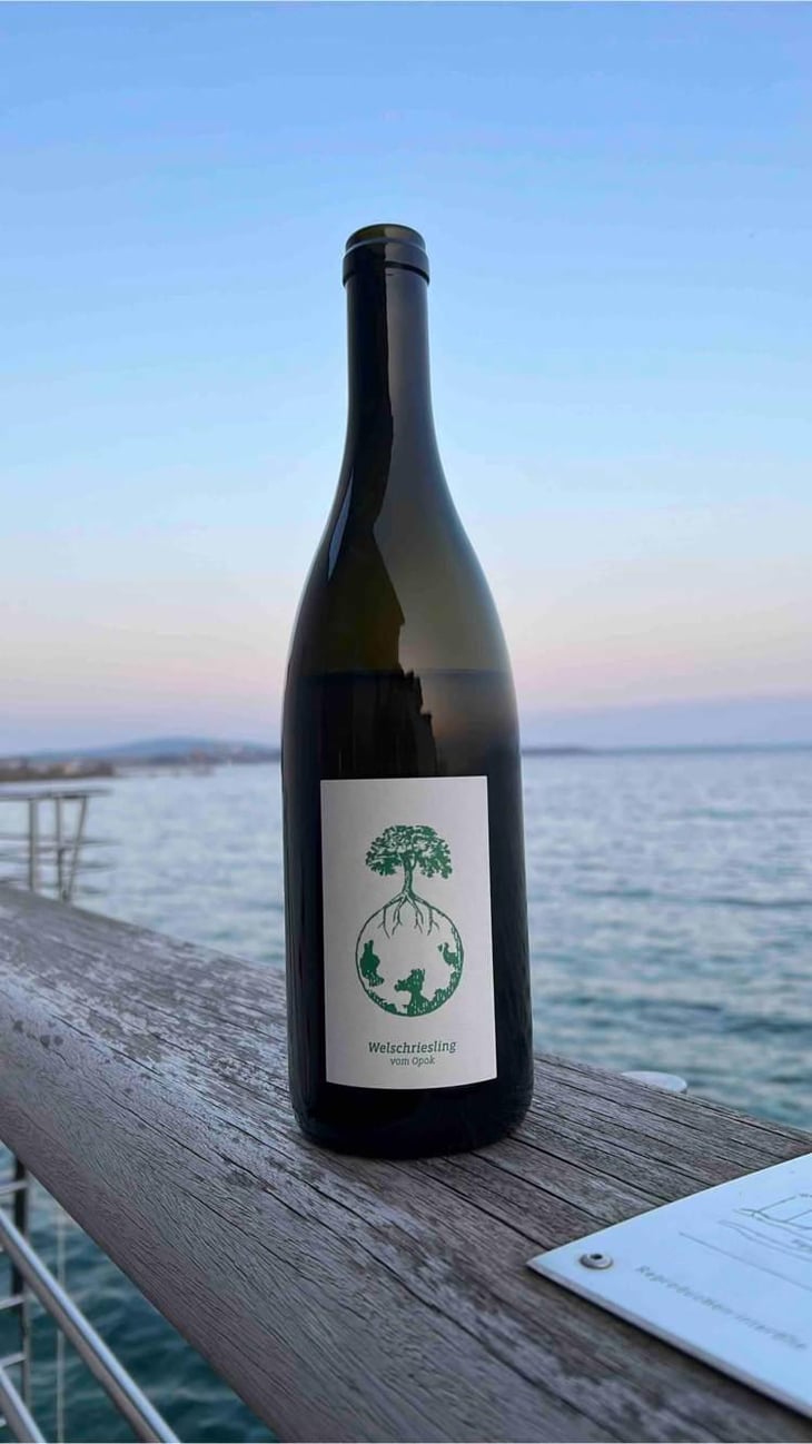 Welschriesling - Weingut Werlitsch - Ewald & Brigitte Tscheppe 