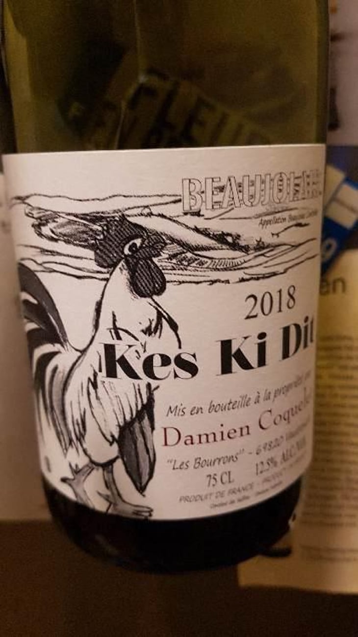 Kes Ki Dit - Damien Coquelet - Damien Coquelet 