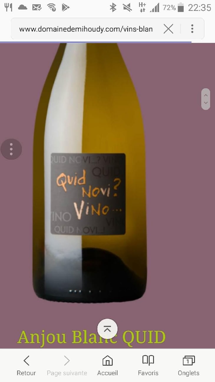 Quid Novi? Vino - Domaine de Mihoudy - Jean Charles Cochard 