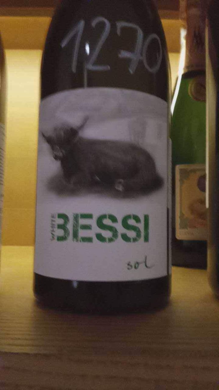 White Bessi - Sol - Michael Gindl 