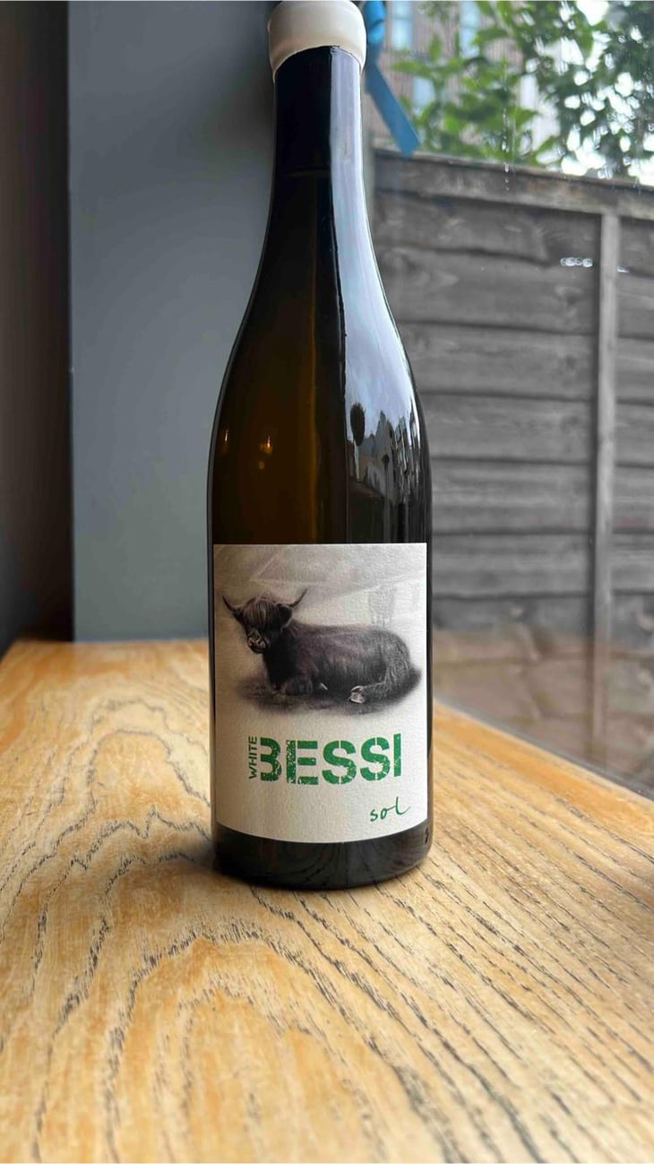 White Bessi - Sol - Michael Gindl 