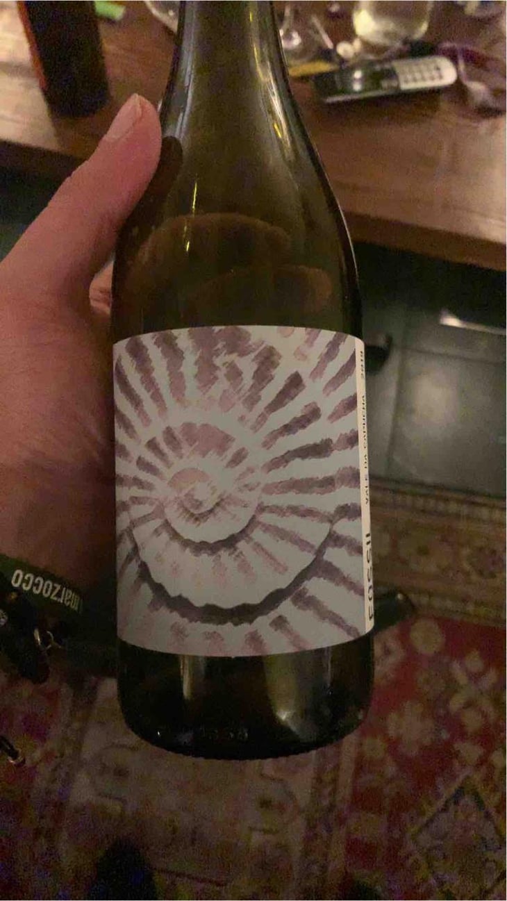 Fossil Branco - Vale da Capucha - Pedro Marques 