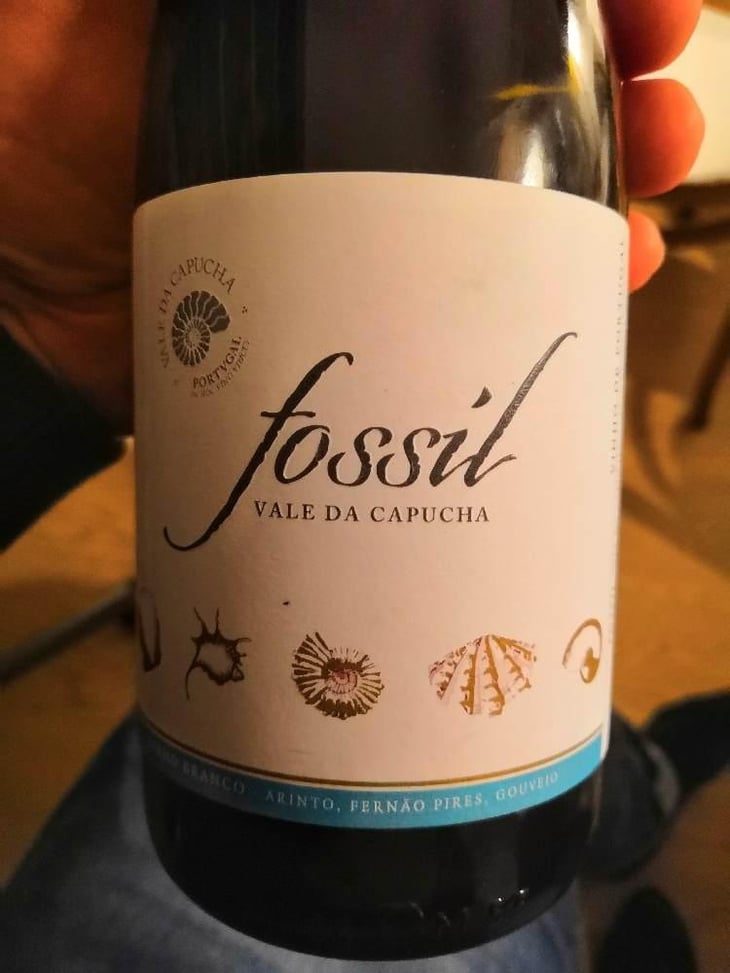 Fossil Branco - Vale da Capucha - Pedro Marques 