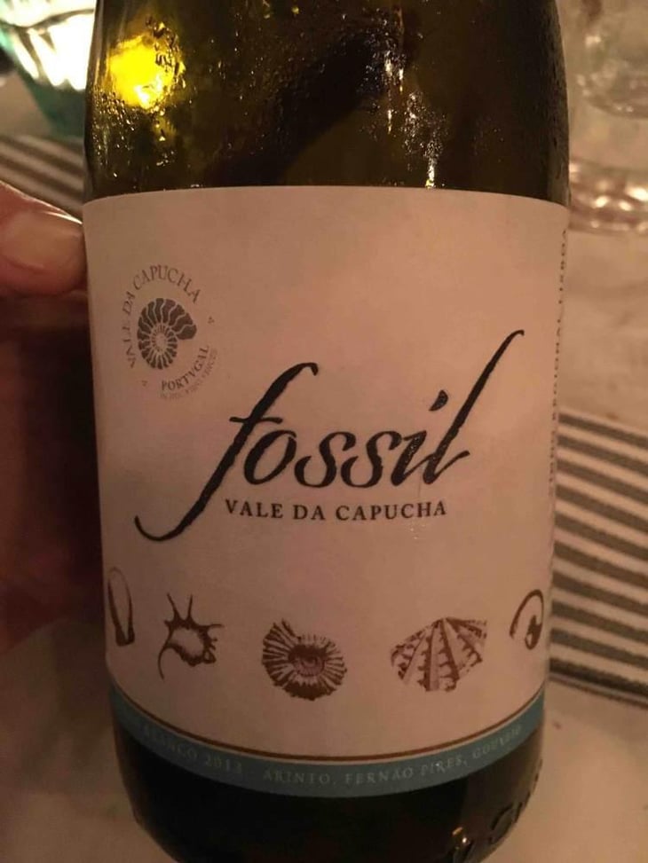 Fossil Branco - Vale da Capucha - Pedro Marques 