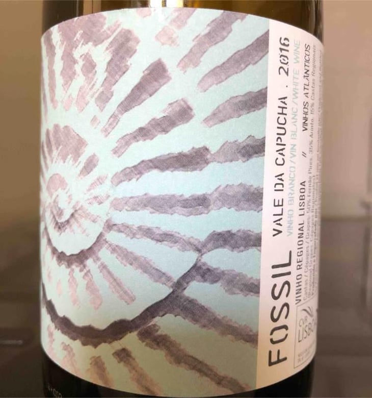 Fossil Branco - Vale da Capucha - Pedro Marques 