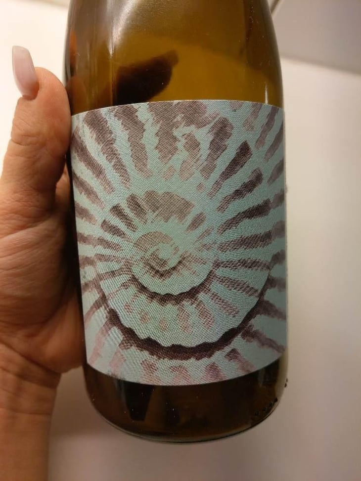 Fossil Branco - Vale da Capucha - Pedro Marques 