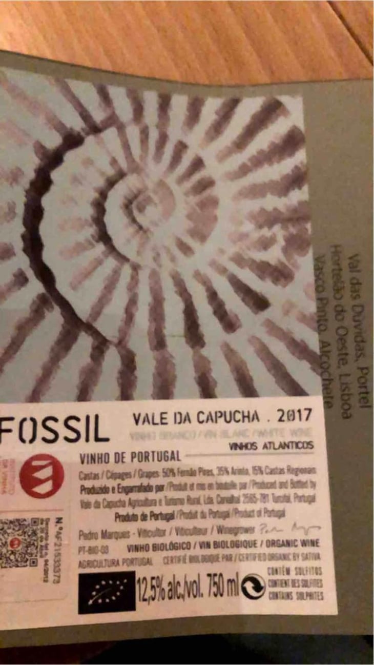 Fossil Branco - Vale da Capucha - Pedro Marques 