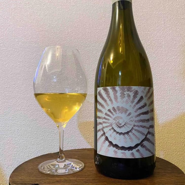 Fossil Branco - Vale da Capucha - Pedro Marques 