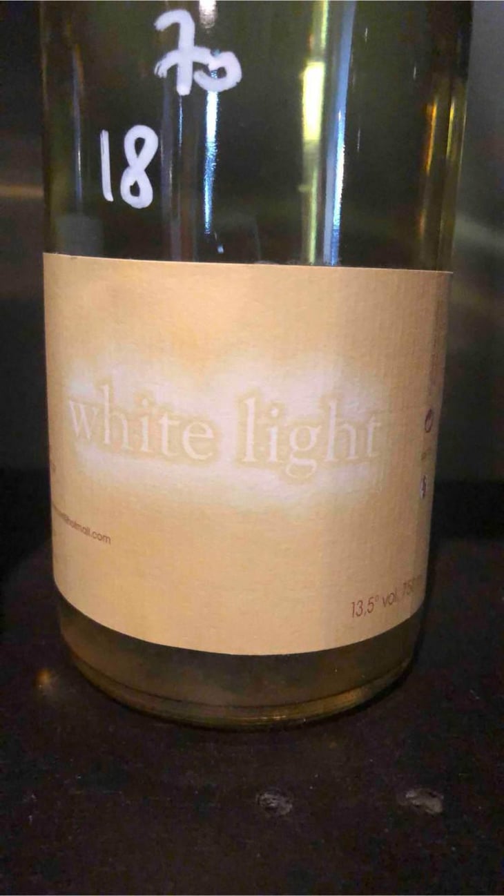 White Light - Marie et Vincent Tricot - Vincent et Marie Tricot 