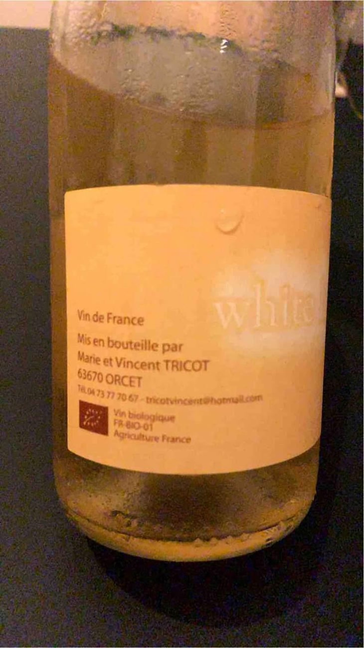 White Light - Marie et Vincent Tricot - Vincent et Marie Tricot 