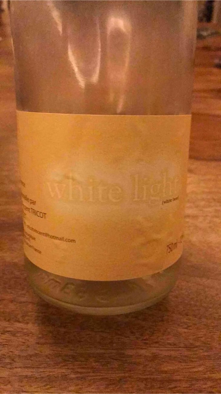 White Light - Marie et Vincent Tricot - Vincent et Marie Tricot 