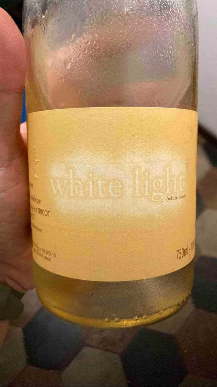 White Light - Marie et Vincent Tricot - Vincent et Marie Tricot 