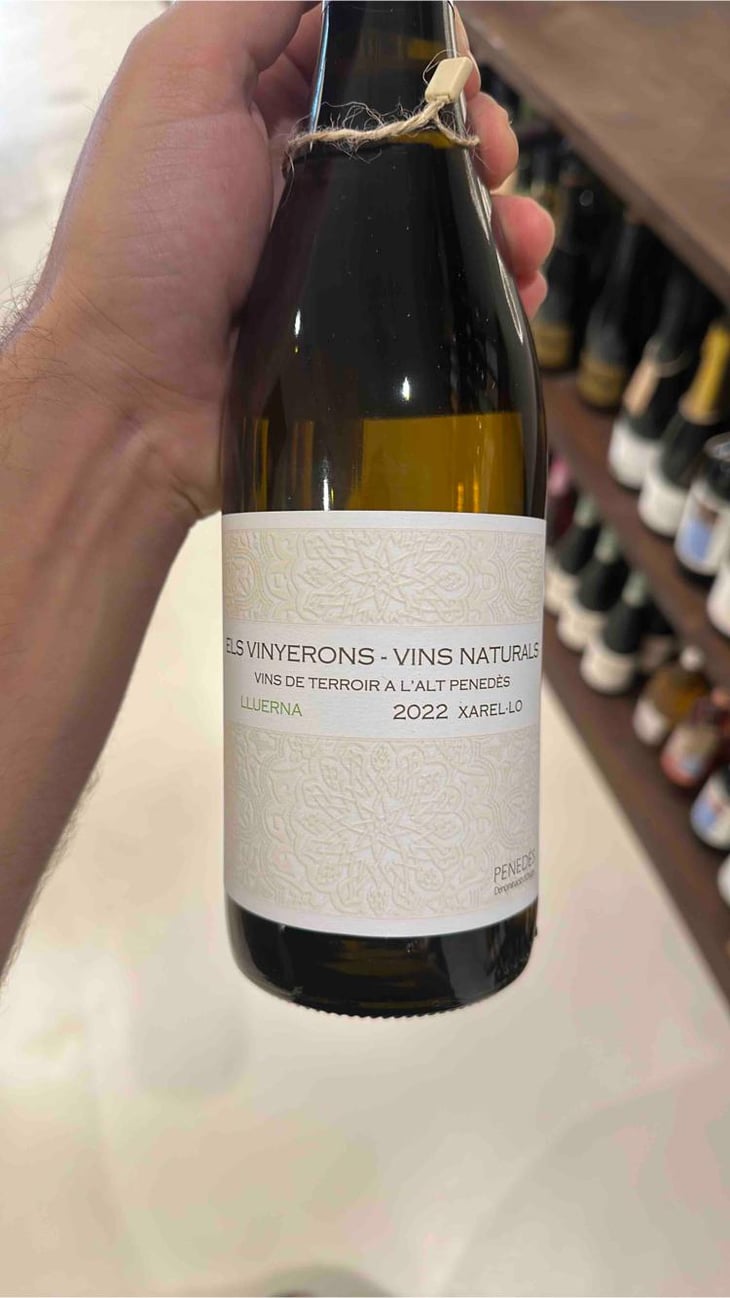 Lluerna - Els Vinyerons / Sin Project - Amós Bañeres Merinero & Alex Ruiz Masachs 
