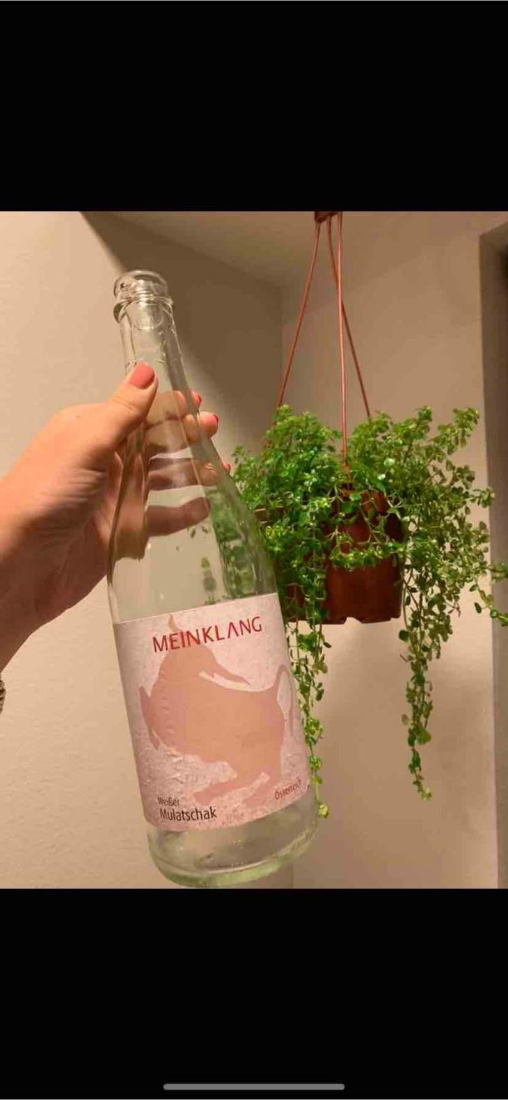 Weisser Mulatschak - Meinklang - Weingut Michlits - Angela & Werner Michlits -2020