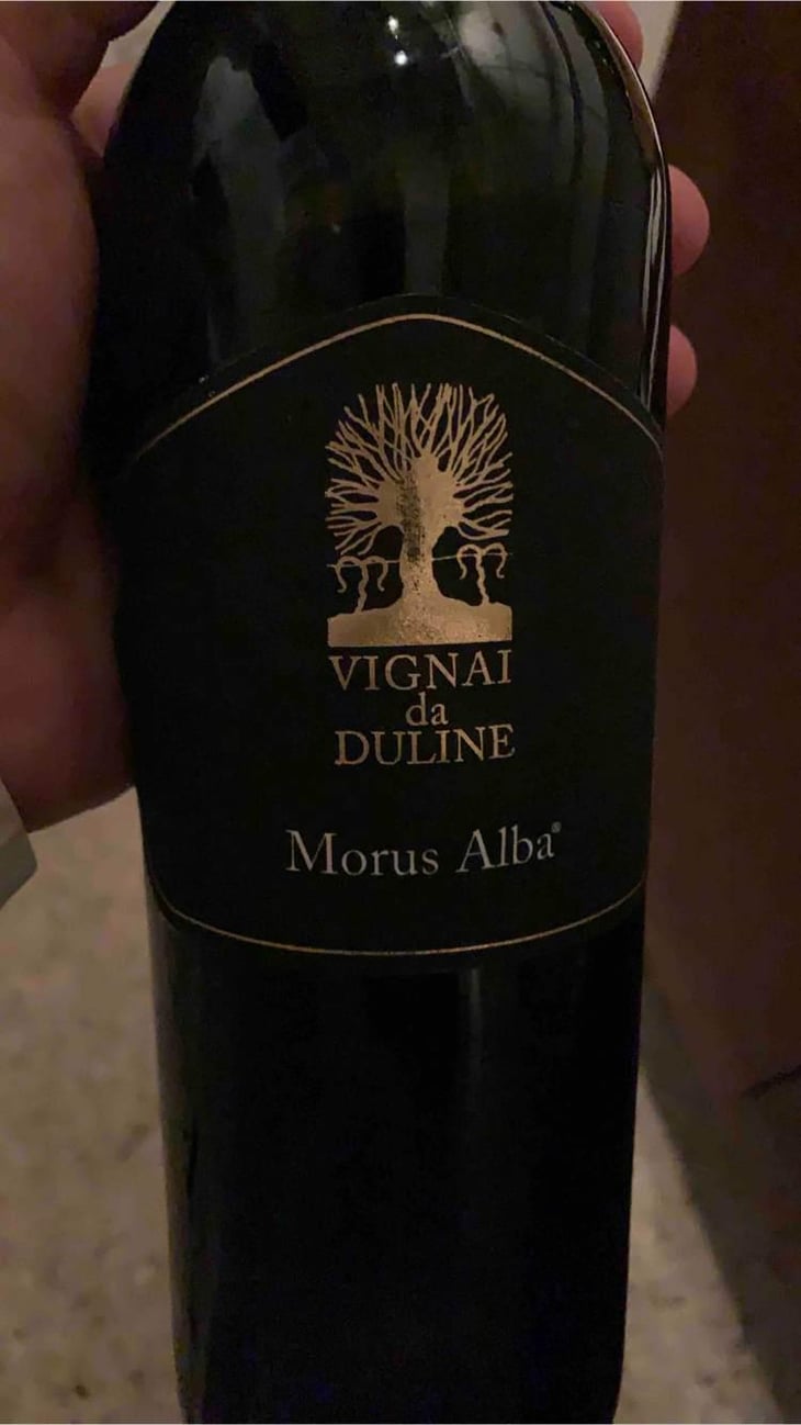 Morus Alba - Vignai da Duline - Lorenzo Mocchiutti & Federica Magrini 
