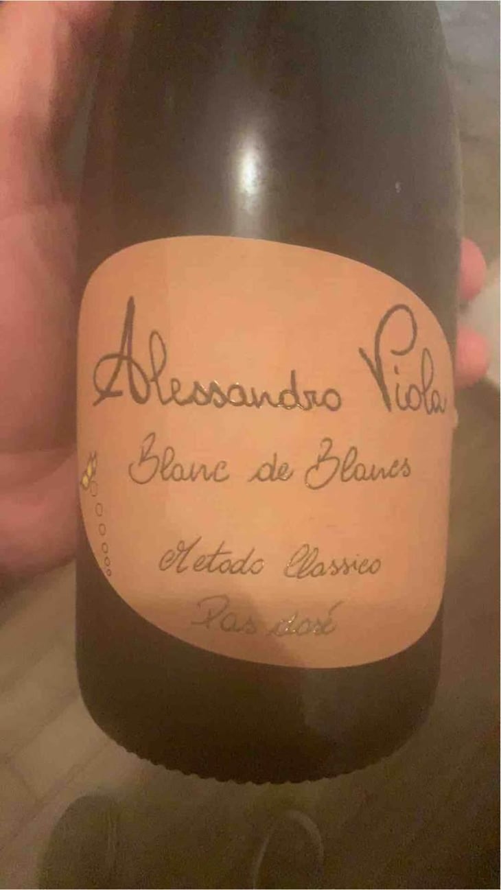 Blanc de Blancs - Azienda Agricola Alessandro Viola - Alessandro Viola 