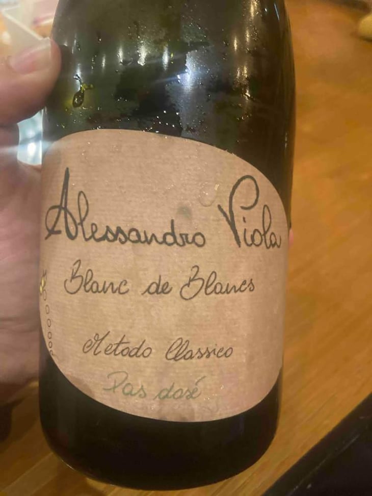 Blanc de Blancs - Azienda Agricola Alessandro Viola - Alessandro Viola 
