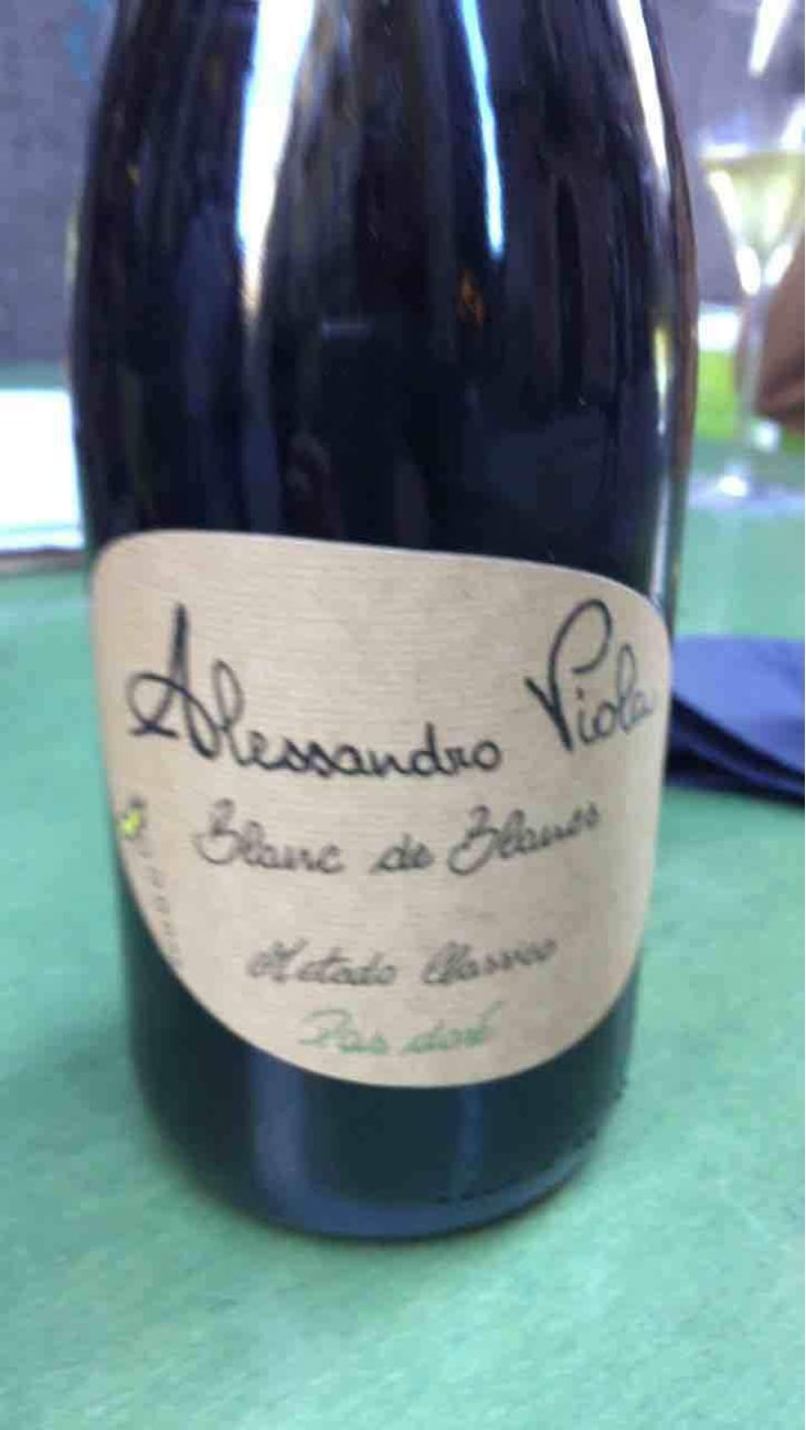 Blanc de Blancs - Azienda Agricola Alessandro Viola - Alessandro Viola 