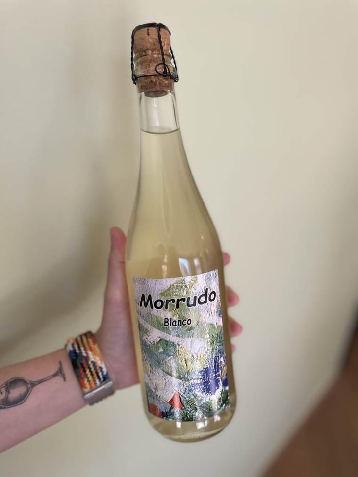 Morrudo Blanco - Bodega La Cerrada - Javier and Jesús Temprado 