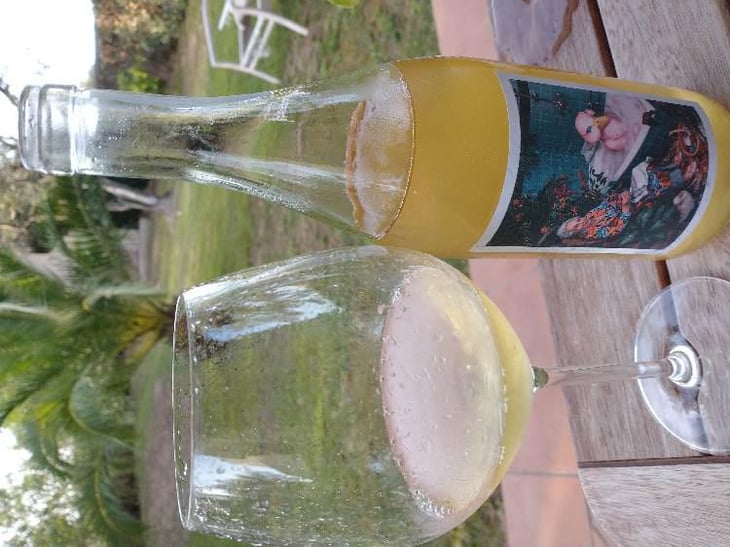 Vinho Branco “Quaaaq Quaaaq” - João Pato (a.k.a. Duckman) - Maria and Luis Pato 